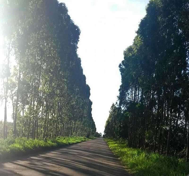 IMAGEM DA CIDADE DE ABELHAS-BA - ABELHAS - BA