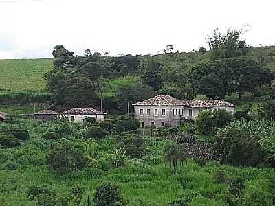 JACARANDIRA-FOTO: HENRIQUE GOMES PINHE  - JACARANDIRA - MG