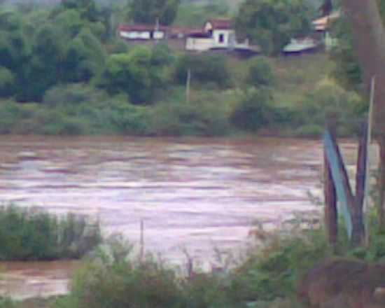 JACINTO, POR ANTONIO RICARDO GONALVES ROCHA - JACINTO - MG