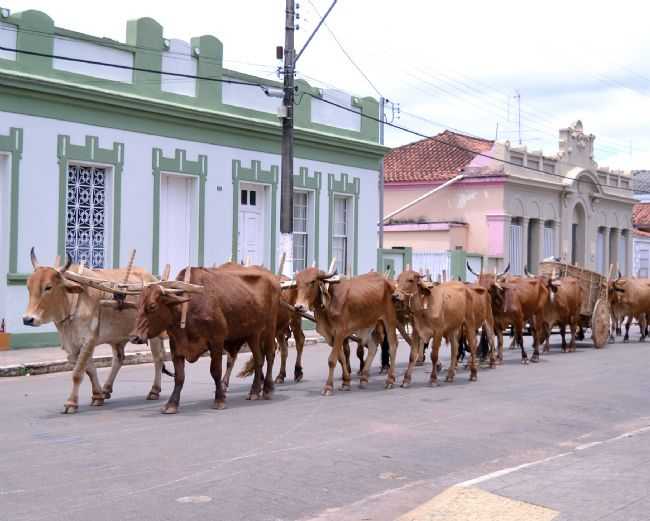 CARRO DE BOIS EM JACU-MG, POR EDSON DOS SANTOS CLARISMUNDE - JACU - MG