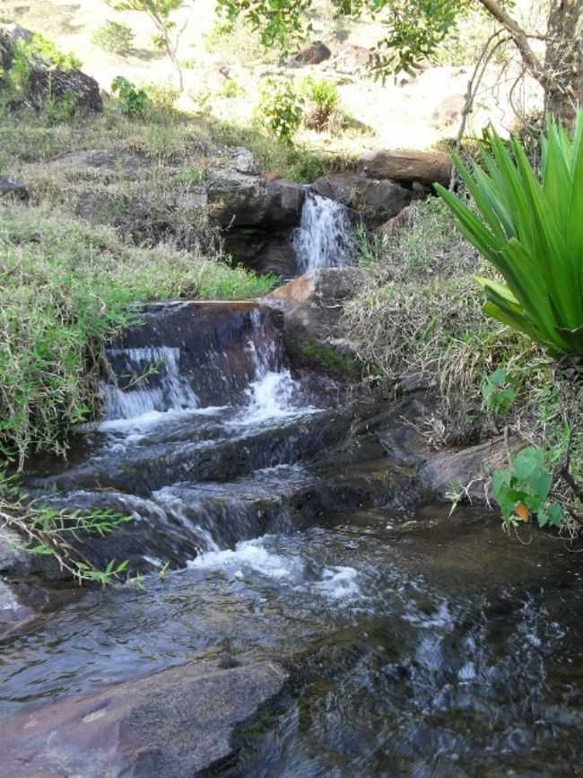 CACHOEIRA DOS STECCA, POR ODVAL AP. BERTOLASSI - JACUTINGA - MG