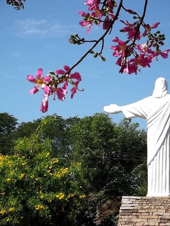 JANABA-MG-PRAA DO CRISTO FLORIDA-FOTO:FSATHLER  - JANABA - MG