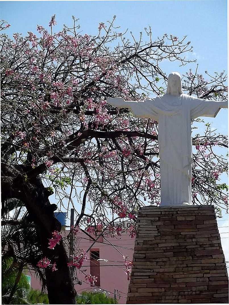 JANABA-MG-PRAA DO CRISTO-FOTO:FSATHLER - JANABA - MG