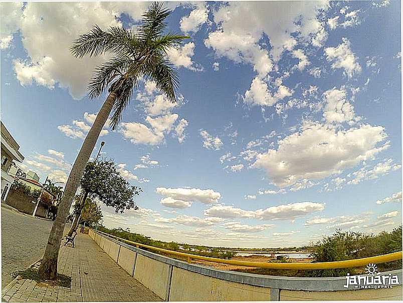 JANURIA - MINAS GERAIS - JANURIA - MG