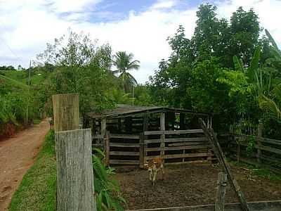 CURRAL-FOTO:ALISONBAR  - JOANSIA - MG