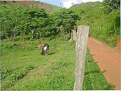 IMAGEM RURAL-FOTO:ALISONBAR  - JOANSIA - MG