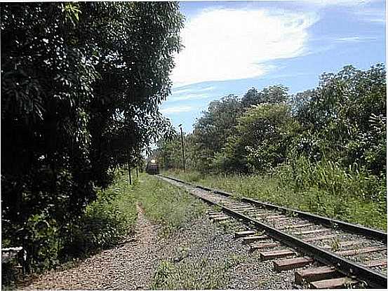 FERROVIA EM JOAQUIM FELCIO-MG-FOTO:WSPERDIGAO - JOAQUIM FELCIO - MG