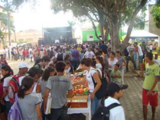 PROJETO CONTRA A DENGUE, POR ISADORA GOMES. - JORDNIA - MG