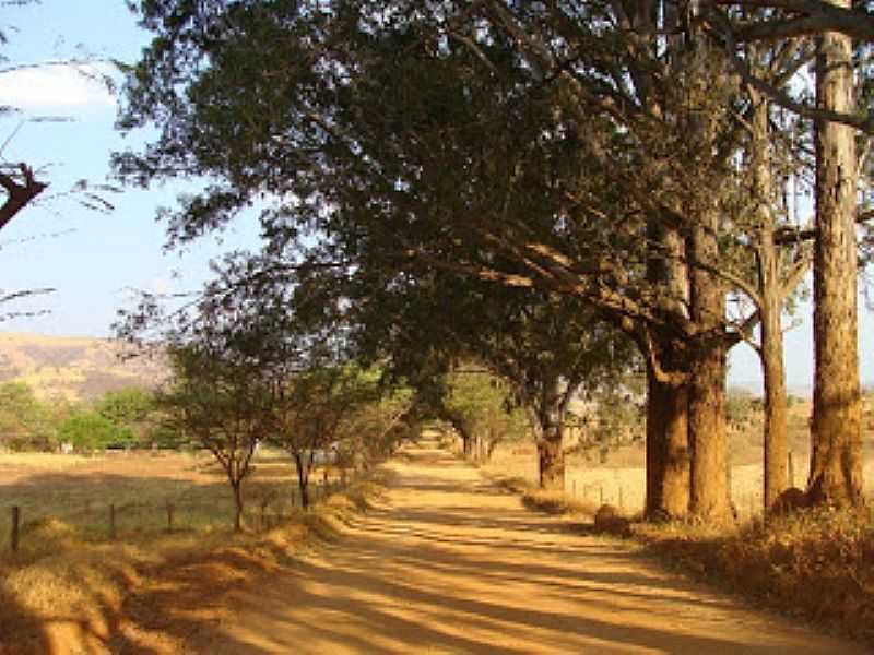 JURAMENTO-MG-ESTRADA DE TERRA-FOTO:FOTOS PAISAGENS - JURAMENTO - MG