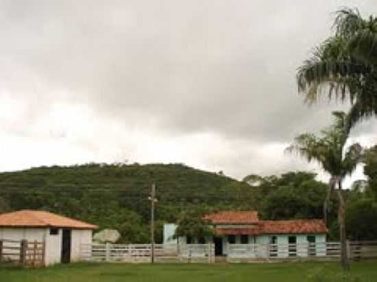 FAZENDA NIETA EM LAGOA DOS PATOS-FOTO:ROBERT CALDEI - LAGOA DOS PATOS - MG