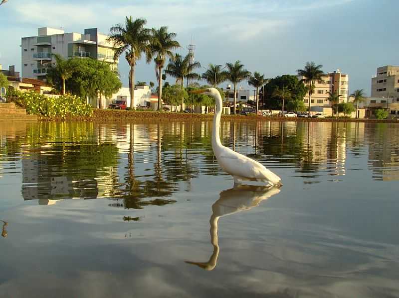 LAGOA FORMOSA-MG-VISTA DA LAGOA-FOTO:OLHARES - SAPO - LAGOA FORMOSA - MG