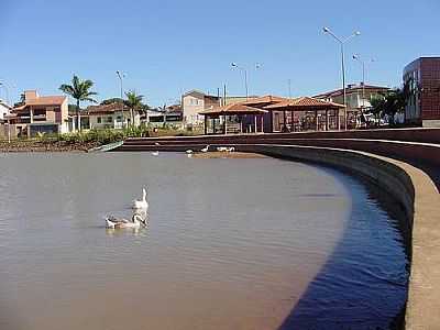 PATOS NA LAGOA-FOTO:JOAO PAULO STIFLERLF  - LAGOA FORMOSA - MG