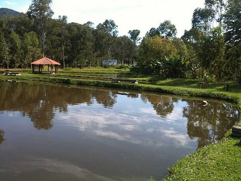 LAMBAR-MG-LAGO DO PESQUEIRO DO GANSO-FOTO:WILLIAM MOREIRA - LAMBARI - MG