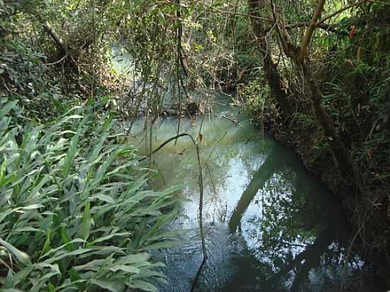 RIBEIRO EM LAMOUNIER-FOTO:JUSCUCATO - LAMOUNIER - MG