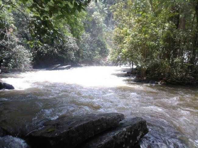 LEOPOLDINA, POR MARCELO FERNANDES ROCHA - LEOPOLDINA - MG