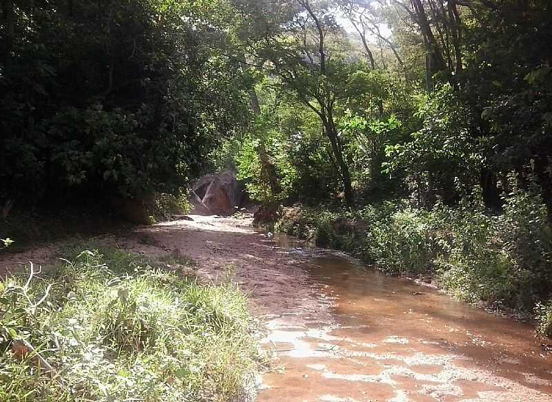 IMAGENS DA LOCALIDADE DE LIMEIRA DE MANTENA - MG - LIMEIRA DE MANTENA - MG