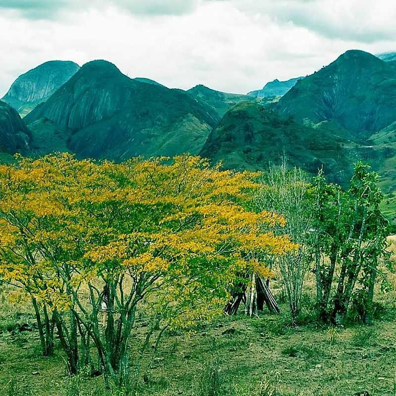 IMAGENS DA LOCALIDADE DE LIMEIRA DE MANTENA - MG - LIMEIRA DE MANTENA - MG