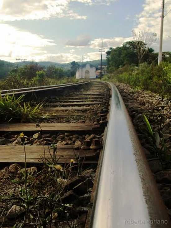 VIA FRREA EM LOBO LEITE-FOTO:ROBERTA SORIANO E AR - LOBO LEITE - MG