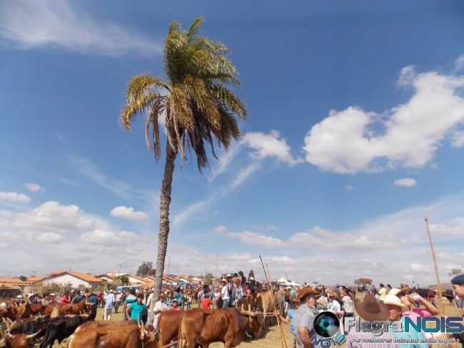 FESTA DO CARRO DE BOI DE MACUCO DE MINAS, POR WENDER ANDRADE - MACUCO DE MINAS - MG