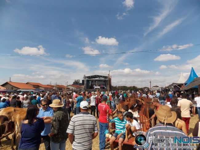 FESTA DO CARRO DE BOI DE MACUCO DE MINAS, POR WENDER ANDRADE - MACUCO DE MINAS - MG