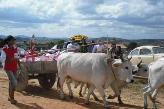 MACUCO, POR BRENO ANDRADE - MACUCO DE MINAS - MG