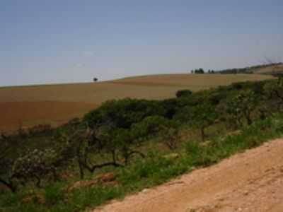 CAMPOS, POR IRACY DE OLIVEIRA YAMAMOTO - MADRE DE DEUS DE MINAS - MG