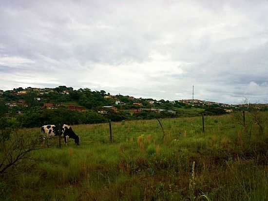 MADRE DE DEUS DE MINAS-MG-REA RURAL E AO FUNDO A CIDADE-FOTO:ANDR SALIYA - RITPOLIS - MADRE DE DEUS DE MINAS - MG