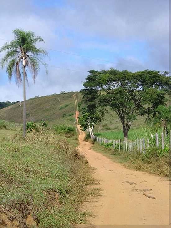 MAR DE ESPANHA-MG-TRILHA EM REA RURAL-FOTO:GUILHEME H. G. DE RE - MAR DE ESPANHA - MG