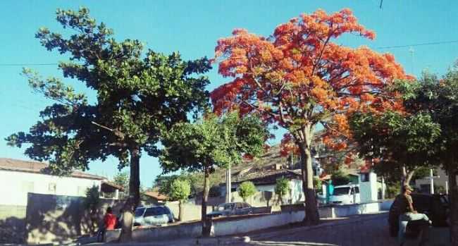 PRAA, POR GUILHERME GOMES BARBOSA - MARAMBAINHA - MG