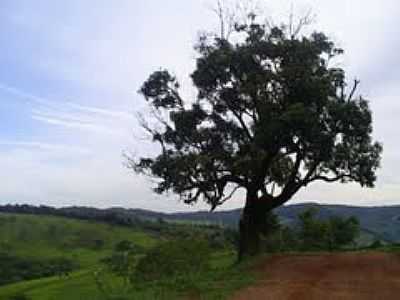 IMAGEM-FOTO:DLIO LEMOS - MARAVILHAS - MG