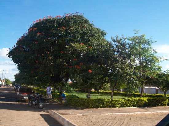 PA BOM JESUS, POR ALTAIR PEREIRA ROCHA - MIRABELA - MG