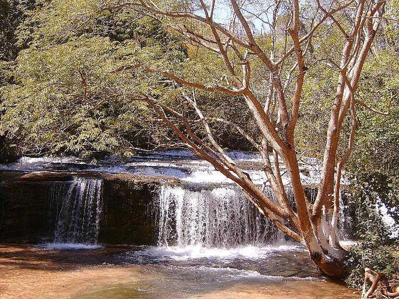 IMAGENS DA CIDADE DE MIRAVNIA - MG - MIRAVNIA - MG