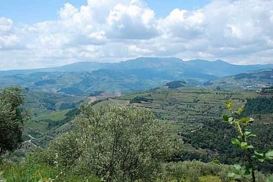MIRAVNIA MG
