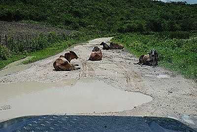 FOTO:MEDICOSDATERRA.BLOGSPOT.COM - MONTE FORMOSO - MG