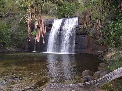 FOTO: JEAN CARLOS BARROS DE OLIVEIRA. - MONTE FORMOSO - MG