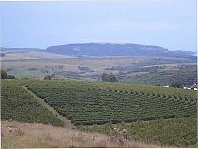 SERRA DO CHAPU, POR GISELE MENEGASSE ,CAMPINAS - MONTE SANTO DE MINAS - MG