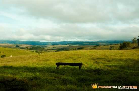 CAMPO, POR ROGERIO MARTINS - MONTE SANTO DE MINAS - MG