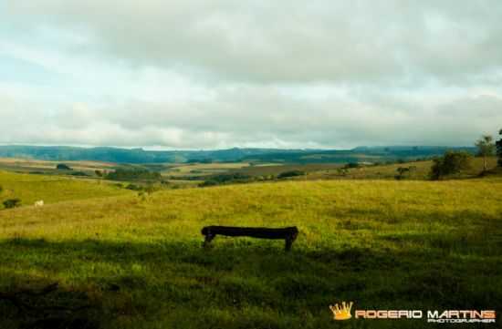 CAMPO, POR ROGERIO MARTINS - MONTE SANTO DE MINAS - MG