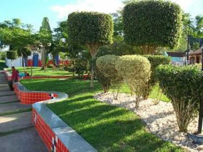 IMAGEM DA CIDADE DE ALGODO - BA - ALGODO - BA