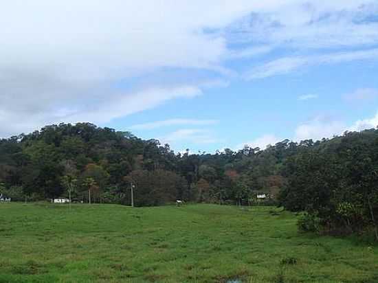 MATA ATLANTICA DA BAHIA  POR QUINTA DA LUZ - ALGODO - BA