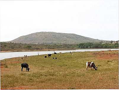 FAZENDA POVOAO, POR ANA MARIA BATISTA - MORADA NOVA DE MINAS - MG