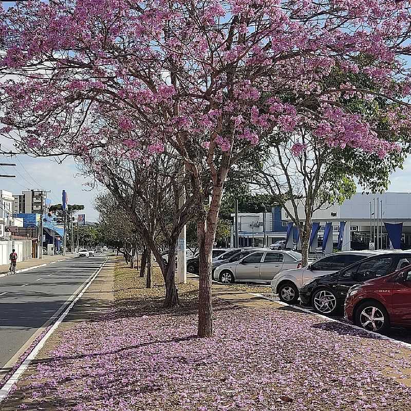 IMAGEM DA CIDADE DE MUCURI - MG - MUCURI - MG