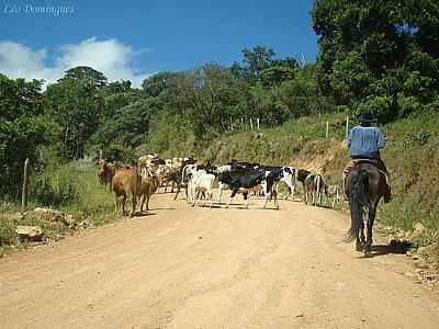 TOCANDO A BOIADA POR LO DOMINGUES - MUNHOZ - MG