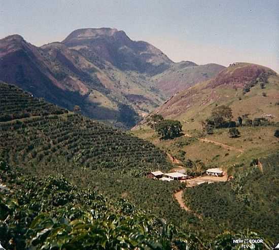 CRREGO DA FLORESTA EM MUTUM-FOTO:JADEON BASILIO DE FR - MUTUM - MG