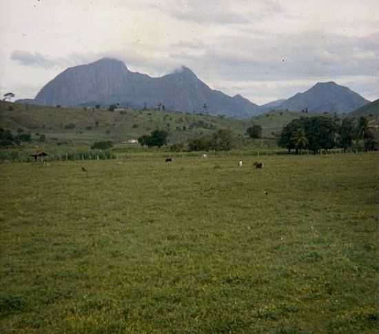 PASTAGEM,AO FUNDO PEDRA DA INVEJADA-FOTO:JADEON BASILIO DE FR - MUTUM - MG