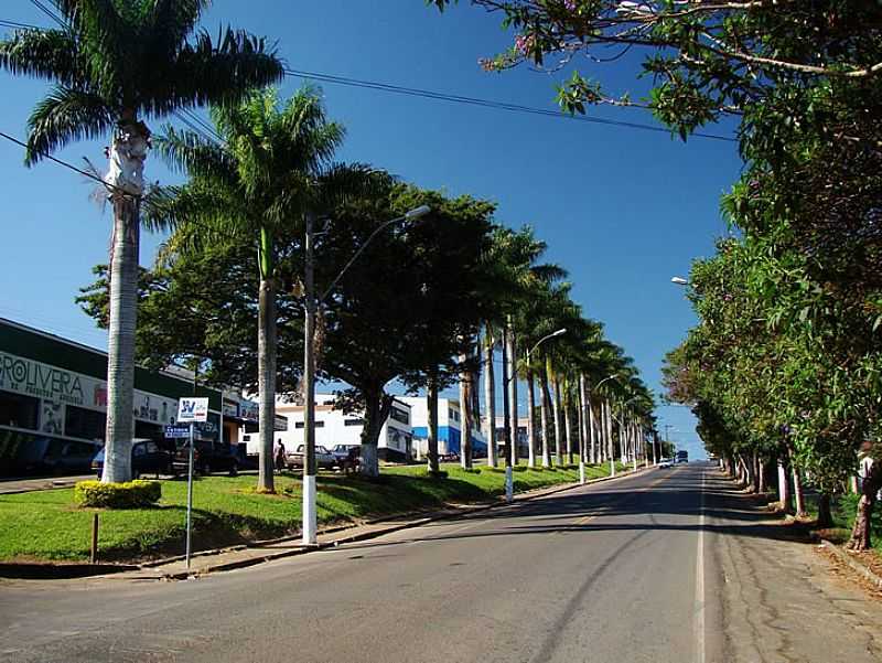 ENTRADA DA CIDADE - MUZAMBINHO  - MUZAMBINHO - MG