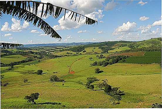 MUZAMBINHO-MG-CORES DA REGIO DE MINAS-FOTO:LUIZ DONIZETTI CERV - MUZAMBINHO - MG
