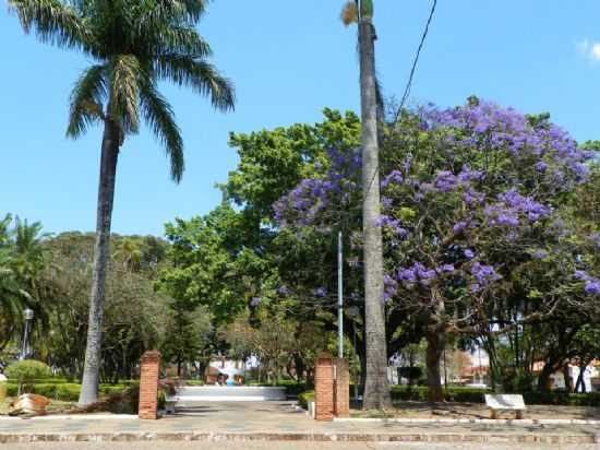 JARDIM PRAA DOS ANDRADAS, POR CLEUSA ELY SANTOS SOARES - MUZAMBINHO - MG