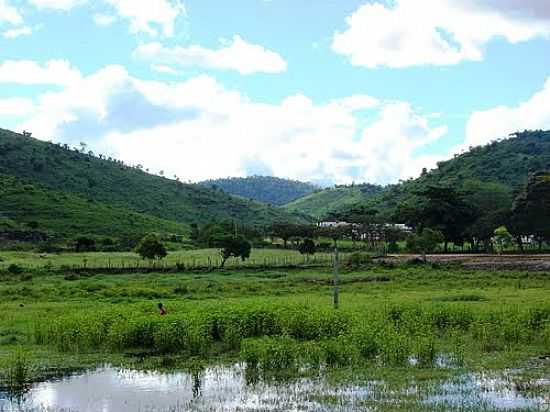 REA RURAL EM ALMADINA-FOTO:JMOREIRA55 - ALMADINA - BA