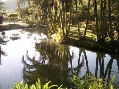 NOVA BELM  POR DISSO (FILHO DO ANTNIO TEODORO) - NOVA BELM - MG